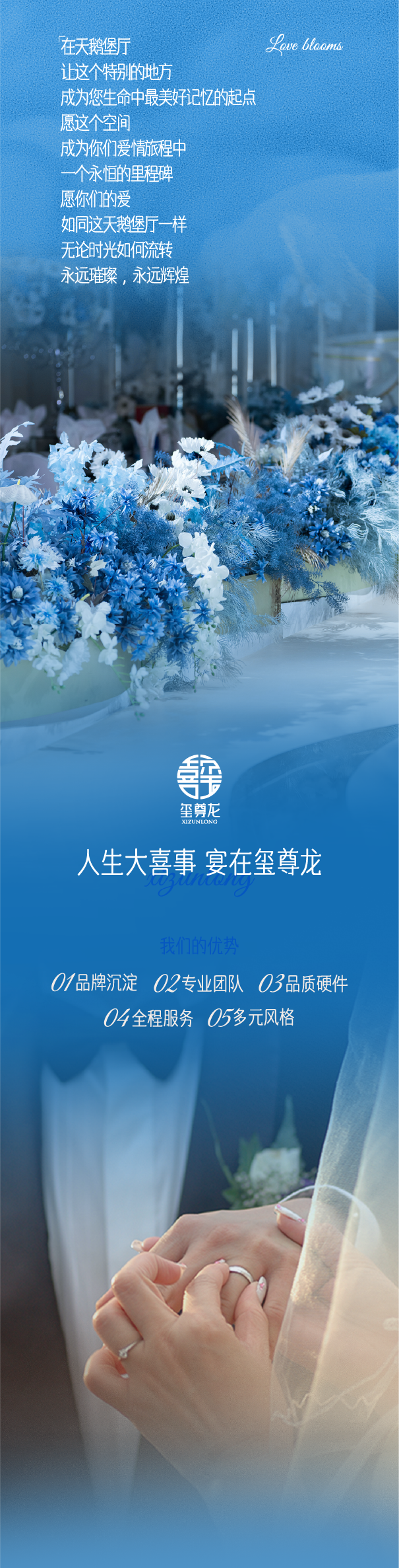 画板 6.png