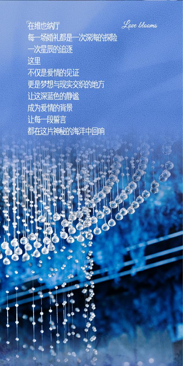 画板 6.png